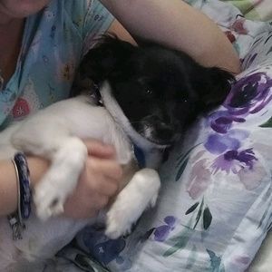 Meet your Posher, Kelsey